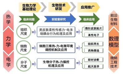 西安交通大學&ldquo;仿生工程與生物力學研究所(BEBC)&rdquo;誠聘英才